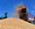 India eyeing Ukraine, Russia's wheat market share in 30 countries