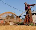 Survey pitches for hike in PDS rates to trim food subsidy bill