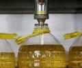 Will legalising MSP reduce the import bill for edible oils and pulses?