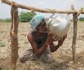 Heat wave hurting farmers' income as yields drop across several crops