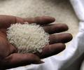 India defends its decision to ban rice, wheat exports at WTO