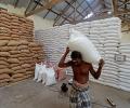 Basmati rice exports rose 22% till February FY24 on West Asia demand