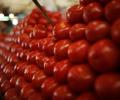 Tomato prices decline sharply in Karnataka to Rs 20/kg