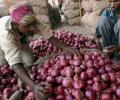 Govt sells onion at Rs 35/kg in Delhi-NCR, Mumbai