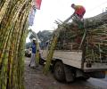 Analysts selective on sugar stocks as higher prices keeps outlook upbeat