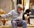 Strays of south Mumbai lose their best friend Ratan Tata