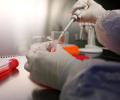 Steady heartbeat of growth in diagnostics stock keeps sector pulsing