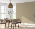 'India's paint market is highly local and competitive'