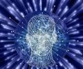'Hard for traditional BPM firms to invest big in AI'