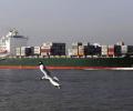 India, US Push To Futureproof Trade Ties