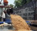 US Tariffs: India Draws Red Lines Around Farm Commodities