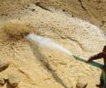 'Auto industry has resilience to tackle rare earth issue'