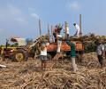 Sugar Export Ban Sparks Industry Outcry, Farmer Worries