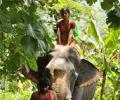 Review: Kumki is brilliant
