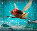 Review: Eega is brilliant cinema