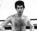 Freddie Mercury, 25 years after the candle went out