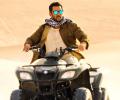 Tiger Zinda Hai roars at the box office