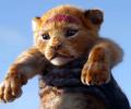 Will Simba become KING of the box office?