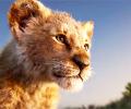 Box Office: Lion King gets outstanding weekend