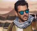 Don't Burst Crackers At Tiger 3 Shows: Salman