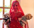 Patralekhaa's Pets Attend Her Wedding