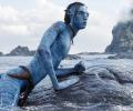 Avatar Earns Huge Rs 128 Crore