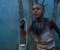 Box Office: Tumbbad Finally Gets Its Due