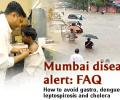 Mumbai disease alert: FAQ