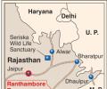 Ranthambore: Dwindling Tiger Population