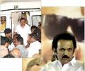 In the DMK, it's brother vs brother
