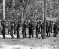 Naxal issue: BJP seeks comprehensive strategy from govt