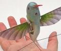 Unveiled: US army's 'hummingbird' spy drone!