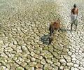 When will distressed farmers get help, Sena asks Centre