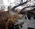 Family escapes as tree destroys house in Sandy-hit US
