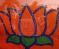 BJP mulls anti-'pink revolution' drive in UP