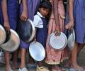 Bihar: Lizard in mid-day meal; 27 students hospitalised