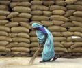 All you wanted to know about the food security bill
