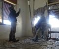 'Assad to face consequences if he fails on chemical weapons'