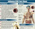 Swine flu cases on the rise, govt monitors situation