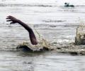 35 corpses found adrift in the Ganga; probe ordered