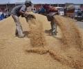 UPA to bring ordinance to implement Food Security Bill
