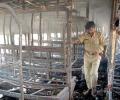'Sunil Joshi planned to kill Godhra probe panel chief'