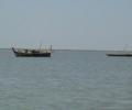 12 Pak fishermen arrested for entering Indian waters