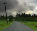 Monsoon likely to hit Kerala by June 2