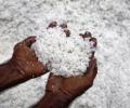 Salt sells at 100 per kg in Bihar after shortage scare