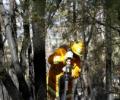 Aus fire crisis eases, but firefighters warn fight isn't over