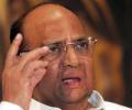 BJP may emerge leader but fall short of magic figure: Pawar