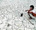422 farmer suicides in Marathwada give BJP govt the jitters