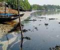 Oil spill in Bangladesh Sunderbans; India on high alert