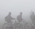 Cold wave continues in north; 8 killed in Uttar Pradesh